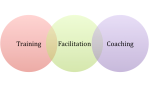 Facilitation lies on a continuum between training and coaching